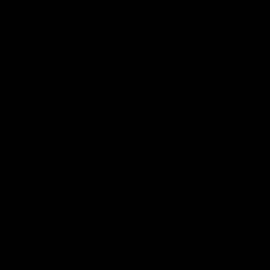 Meet your Posher, Ali